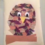 Collage Owl